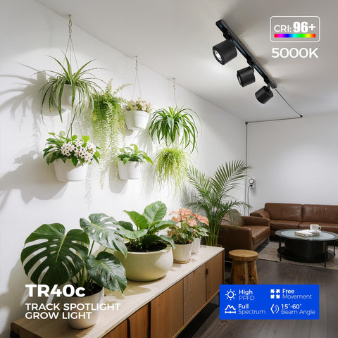 Barrina TR40c adjustable beam 15–60 degrees enables focused or broad lighting.