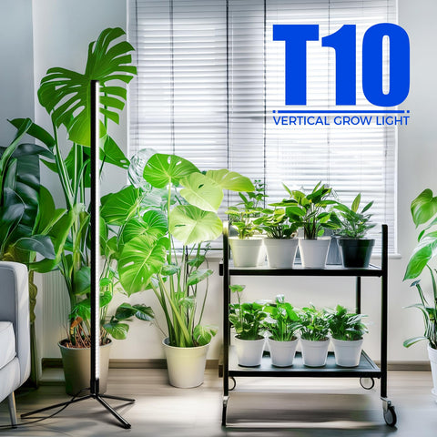 Barrina tripod floor stand enables stable height for tall houseplants