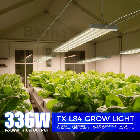 Barrina TX-L84 coverage area highlights even lighting across beds and shelves.