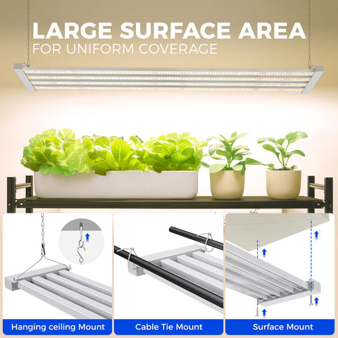 Barrina TX-L84 coverage-area setup shows broad light distribution for basil and lettuce