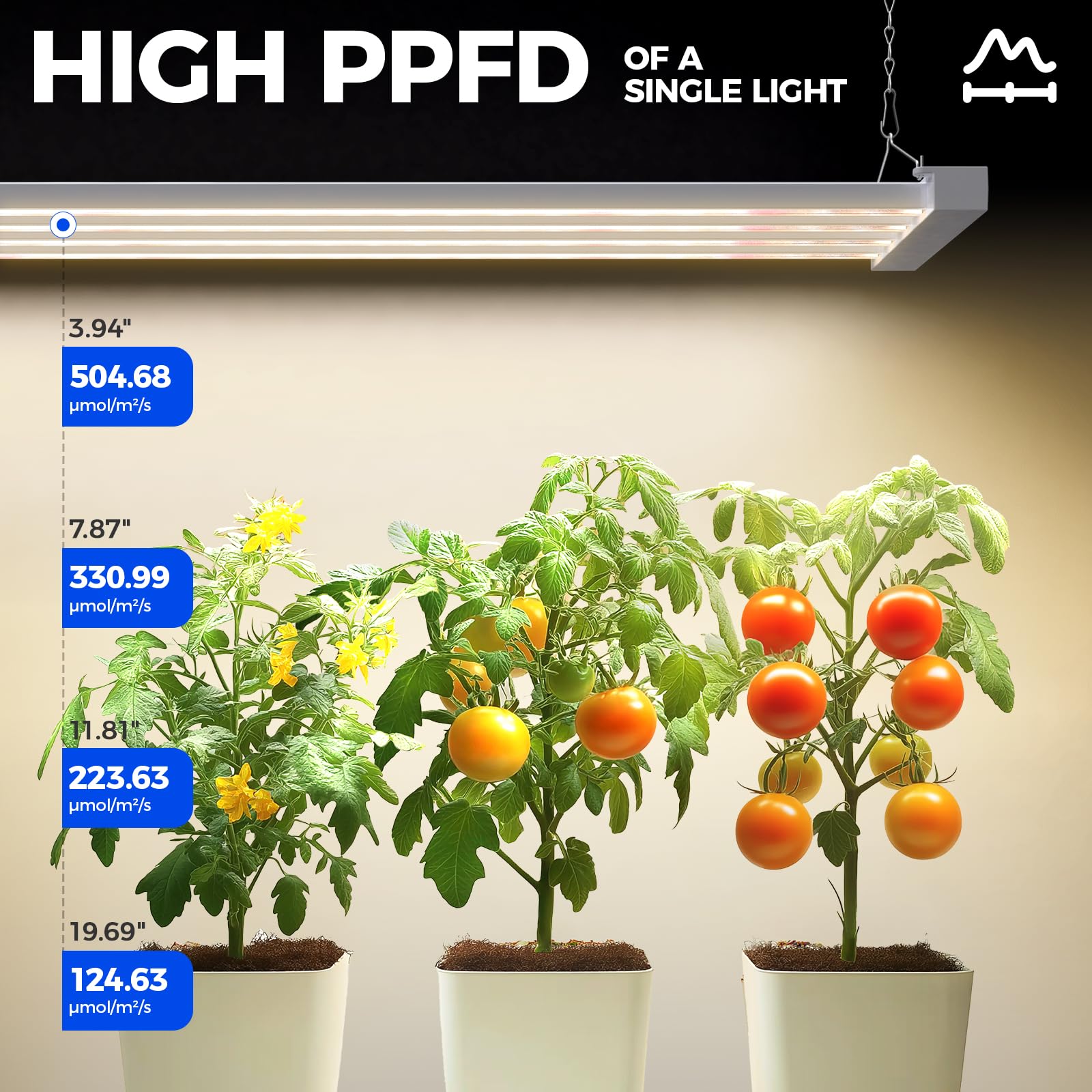Barrina TX-L84 LED diode closeup highlights high-quality LEDs for robust growth