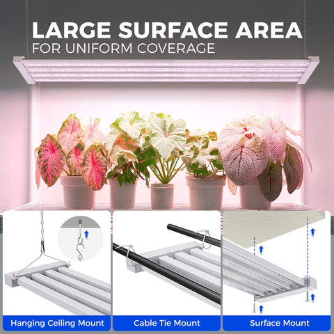 Barrina TX-L84 high-PPFD lighting for flowering and fruiting potential