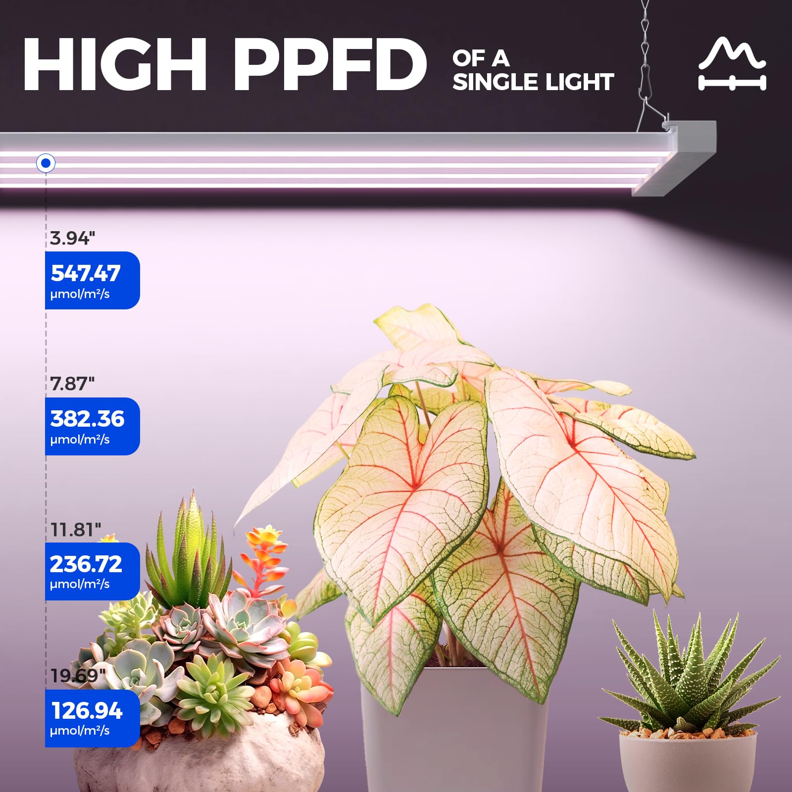 Barrina TX-L84 red-blue spectrum detail speeds photosynthesis for robust growth