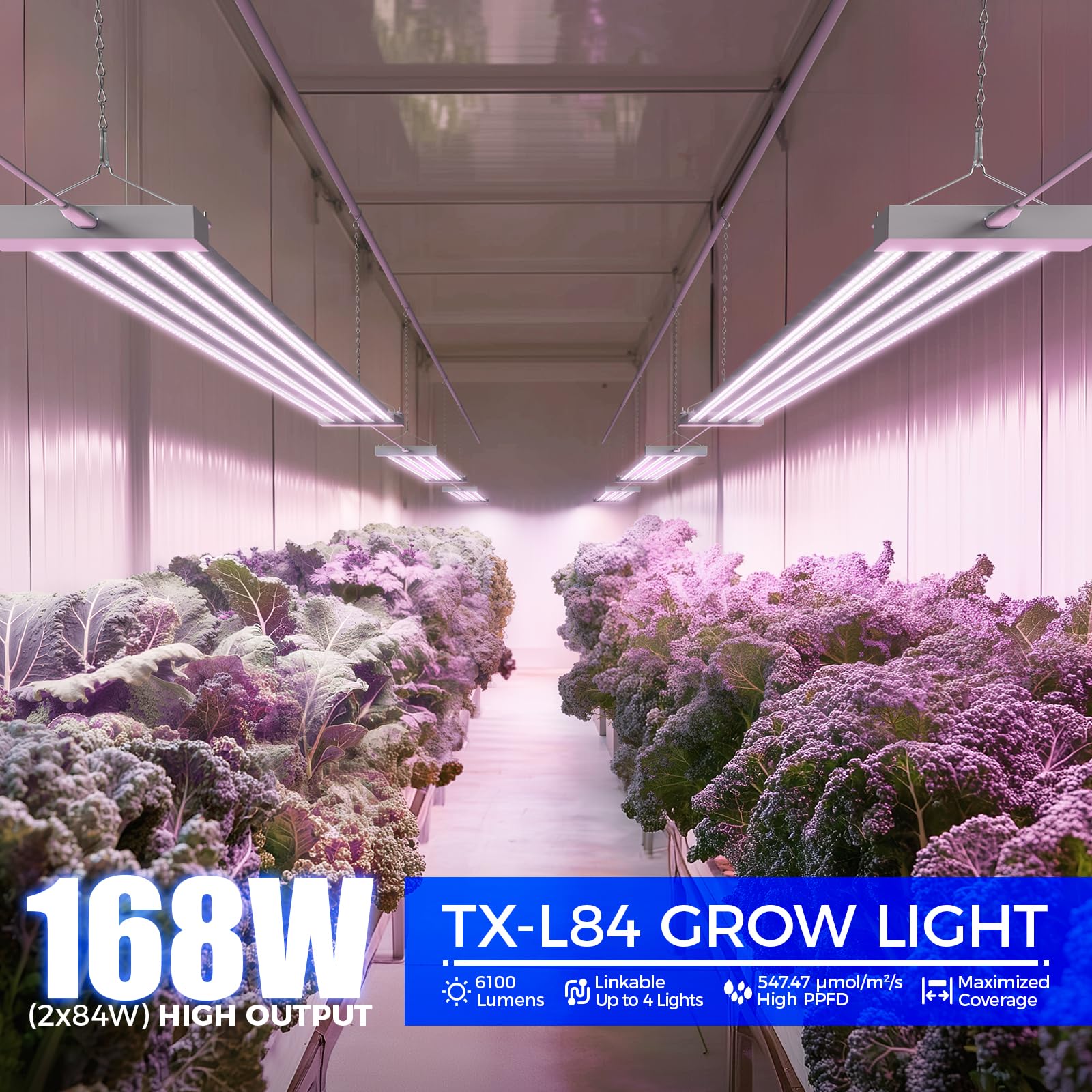 Barrina TX-L84 mounted lighting for even plant coverage on a shelf