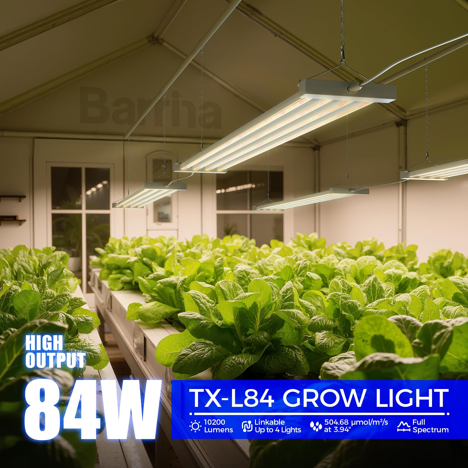 Barrina TX-L84 side-view hanging setup demonstrates easy installation and adjustable height