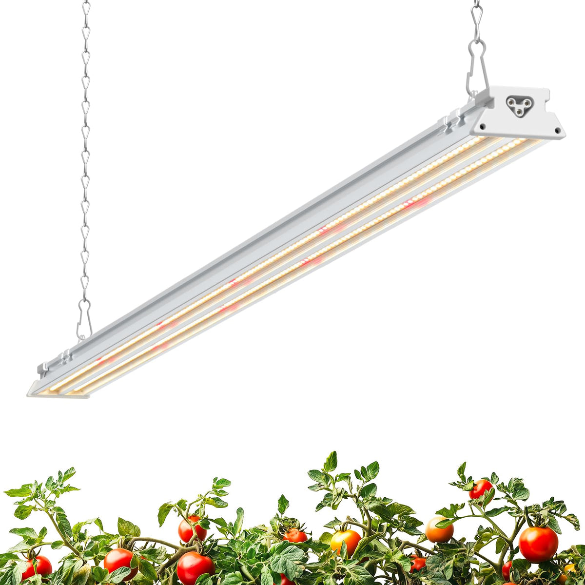 Barrina TX-S60 4FT grow light front view for compact indoor gardens, supports seedling growth.