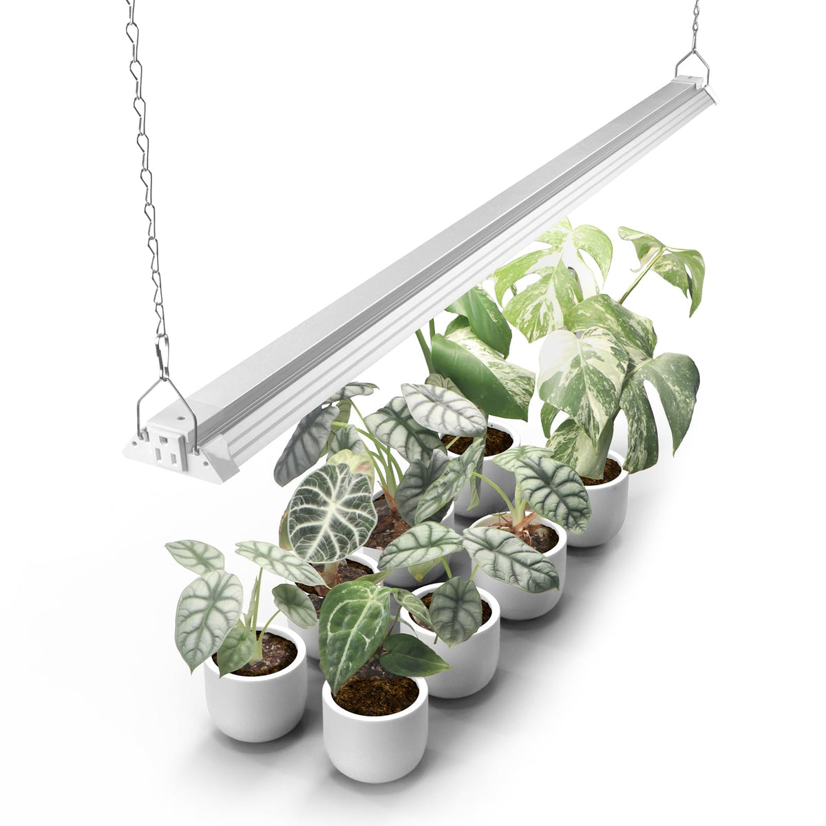 Barrina TX72 close-up of 312-LED array delivering strong plant growth