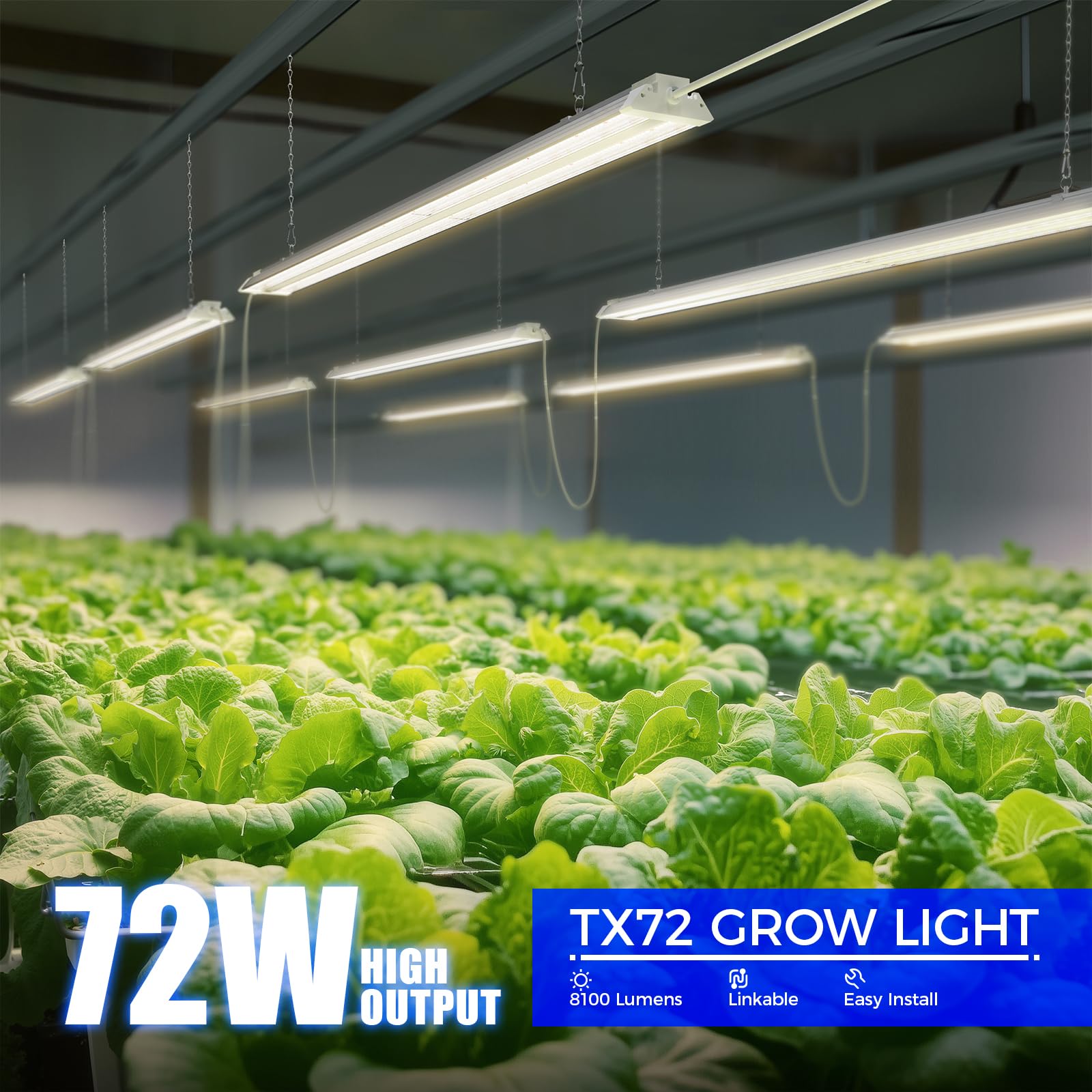 Barrina TX72 grow light 4ft angled view highlighting even light distribution