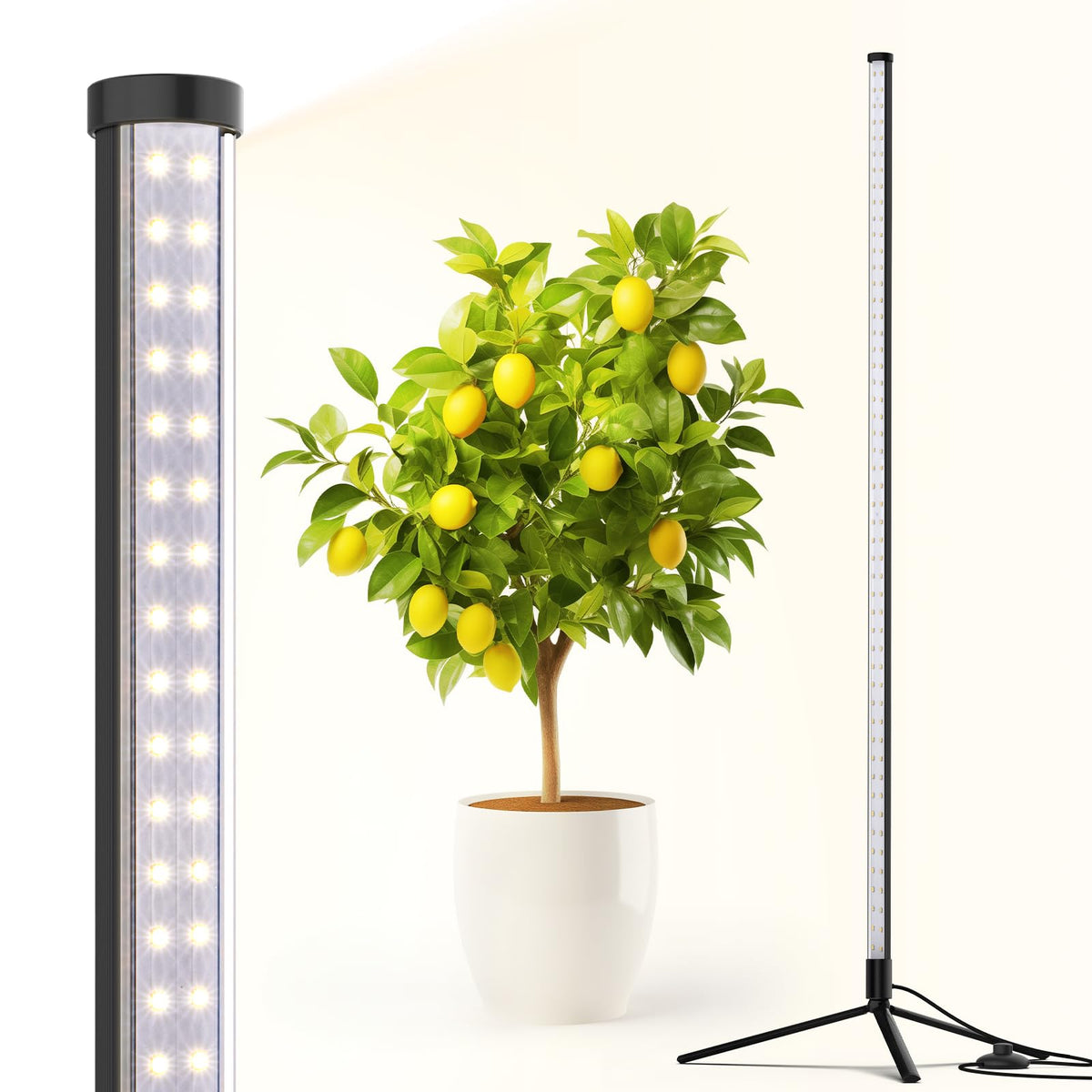 Barrina vertical grow light with T10 side lighting for broad indoor plant coverage