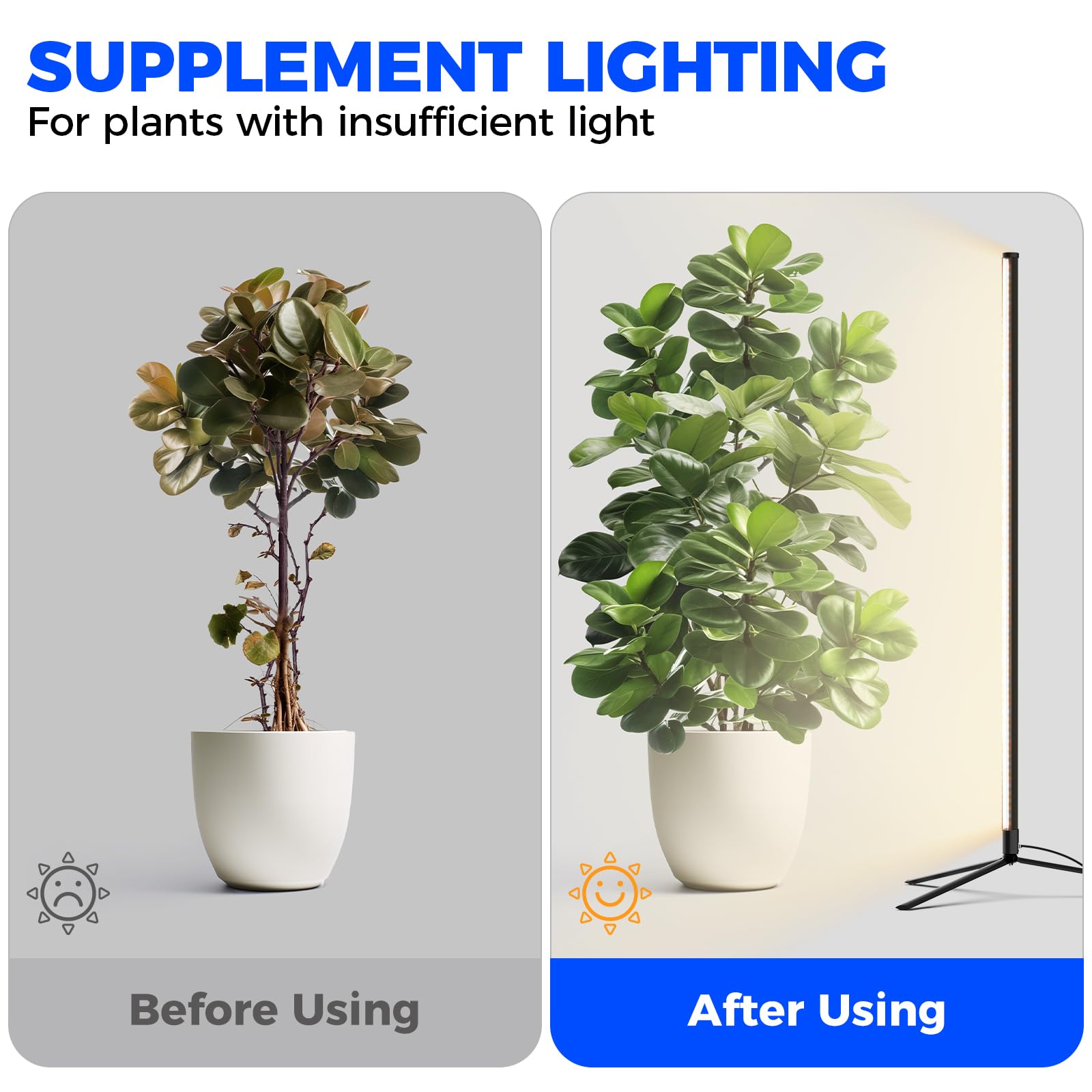 Barrina full-range spectrum supports plant health across growth stages.