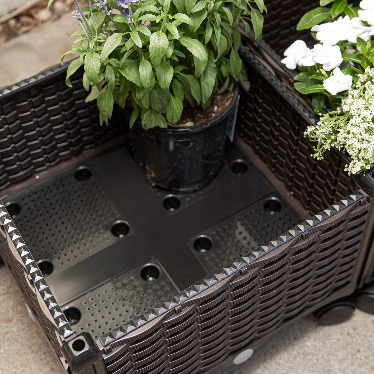 Barton mobile wheels elevate the Barton planter for flexible placement.