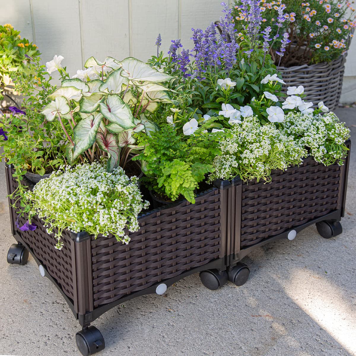 Barton rolling garden bed left view shows portable, easy-to-move elevated planter.