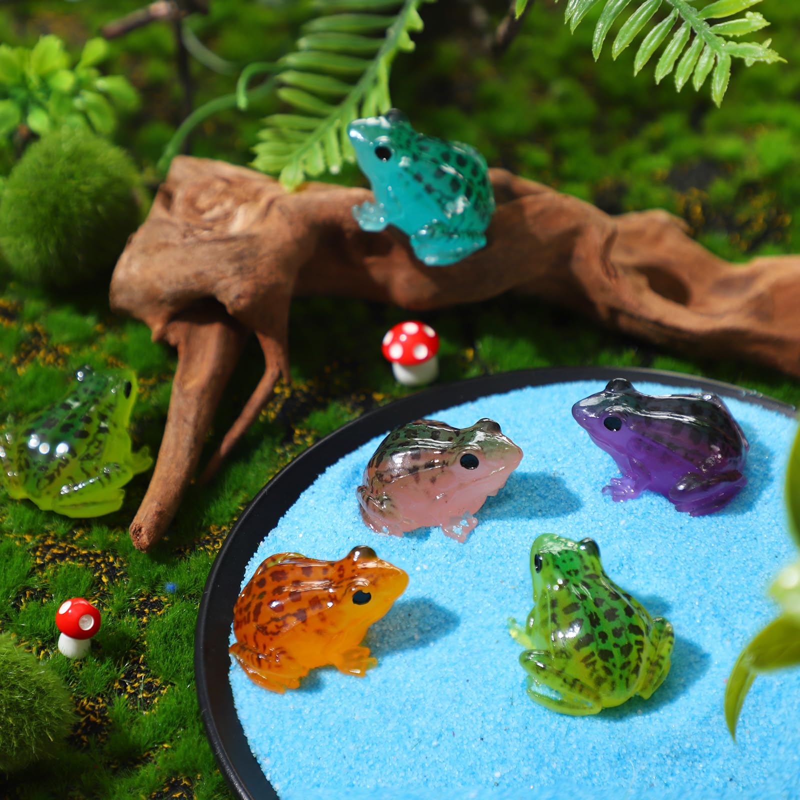 Barydat glow collection frog set enhances terrariums and decorative arrangements.