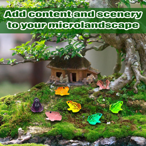 Barydat orange luminous frog enhances night-time garden displays.