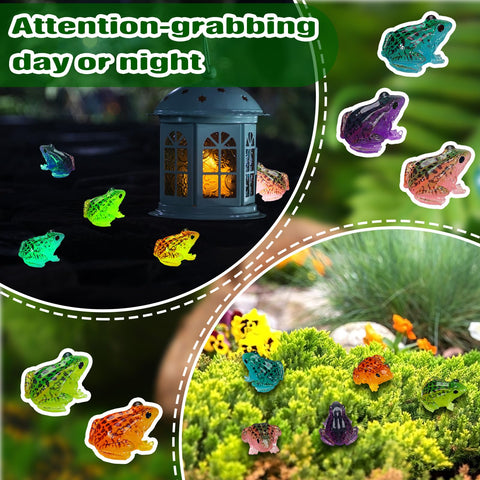 Barydat red luminous frog creates playful glow in moss gardens.