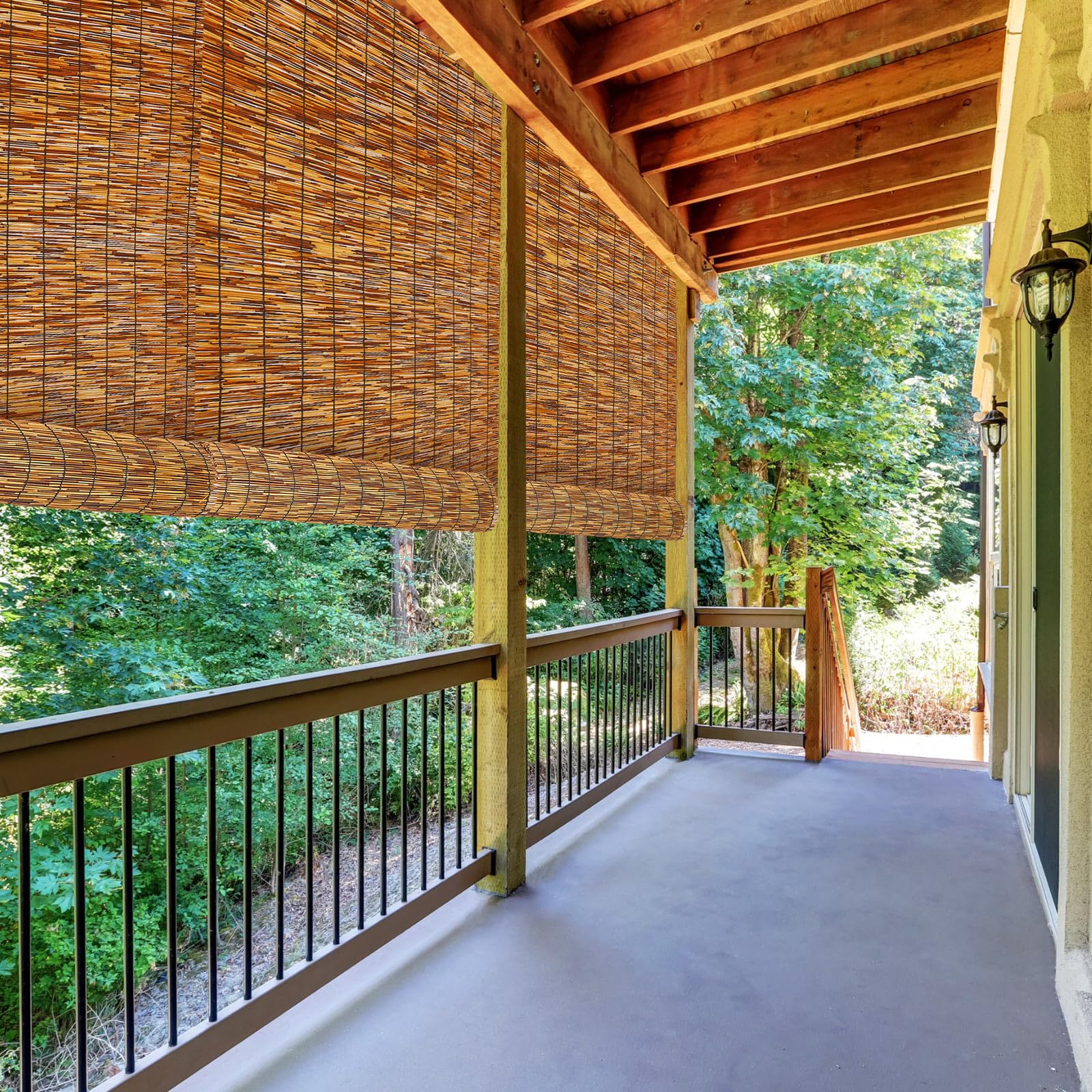 Barydat outdoor reed fence panel blends with decks and pool areas