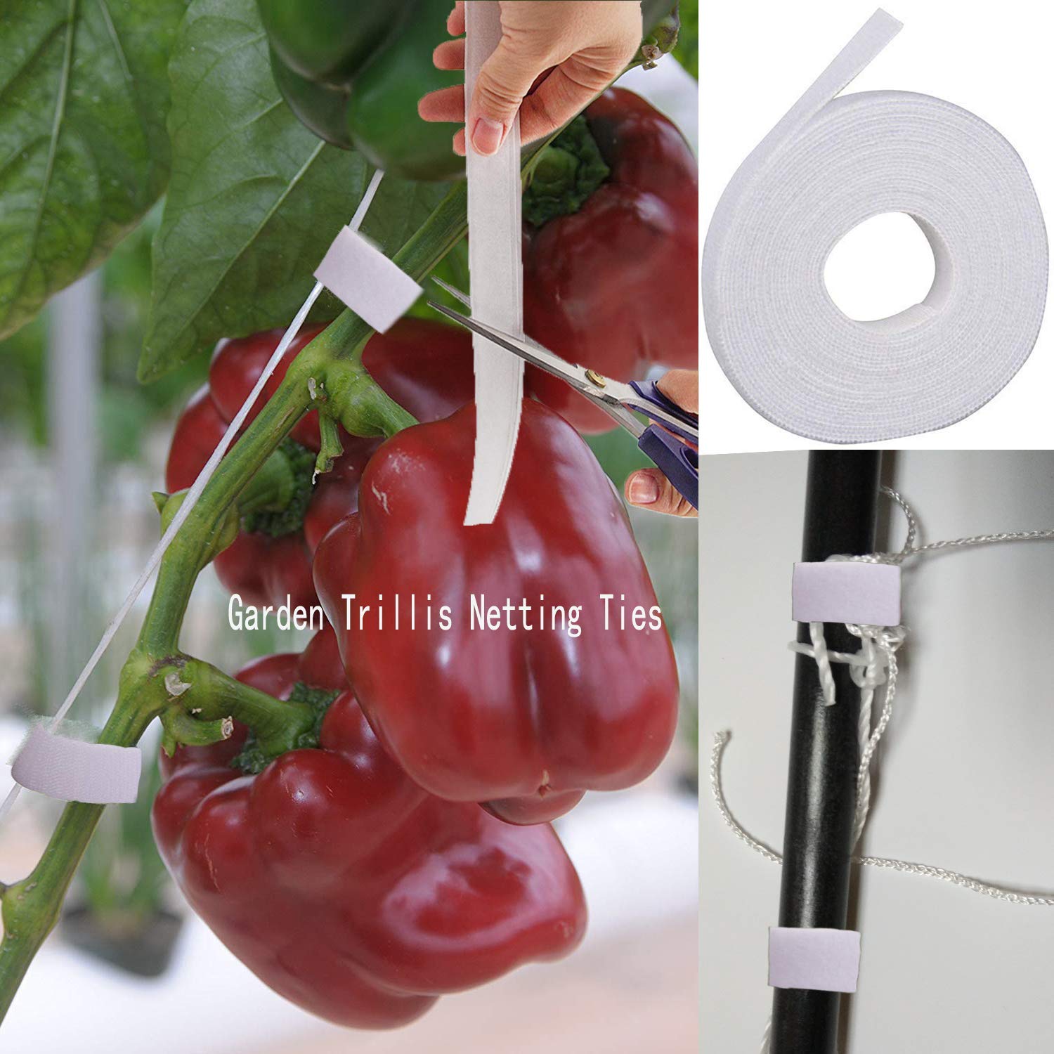 BaseGoal durable outdoor trellis stays sturdy in wind and rain.