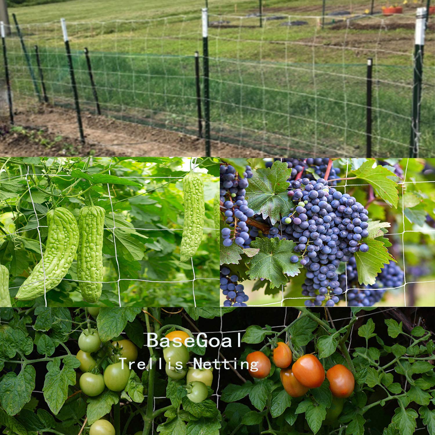 BaseGoal safe non-toxic material suitable for wildlife and family gardens.