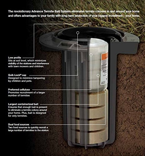 BASF Advance Termite Bait Station TBS installation close-up showing cavity placement for monitoring.