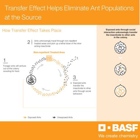 BASF Alpine WSG dilution-solution pour enables effortless mixing for on-site spraying.