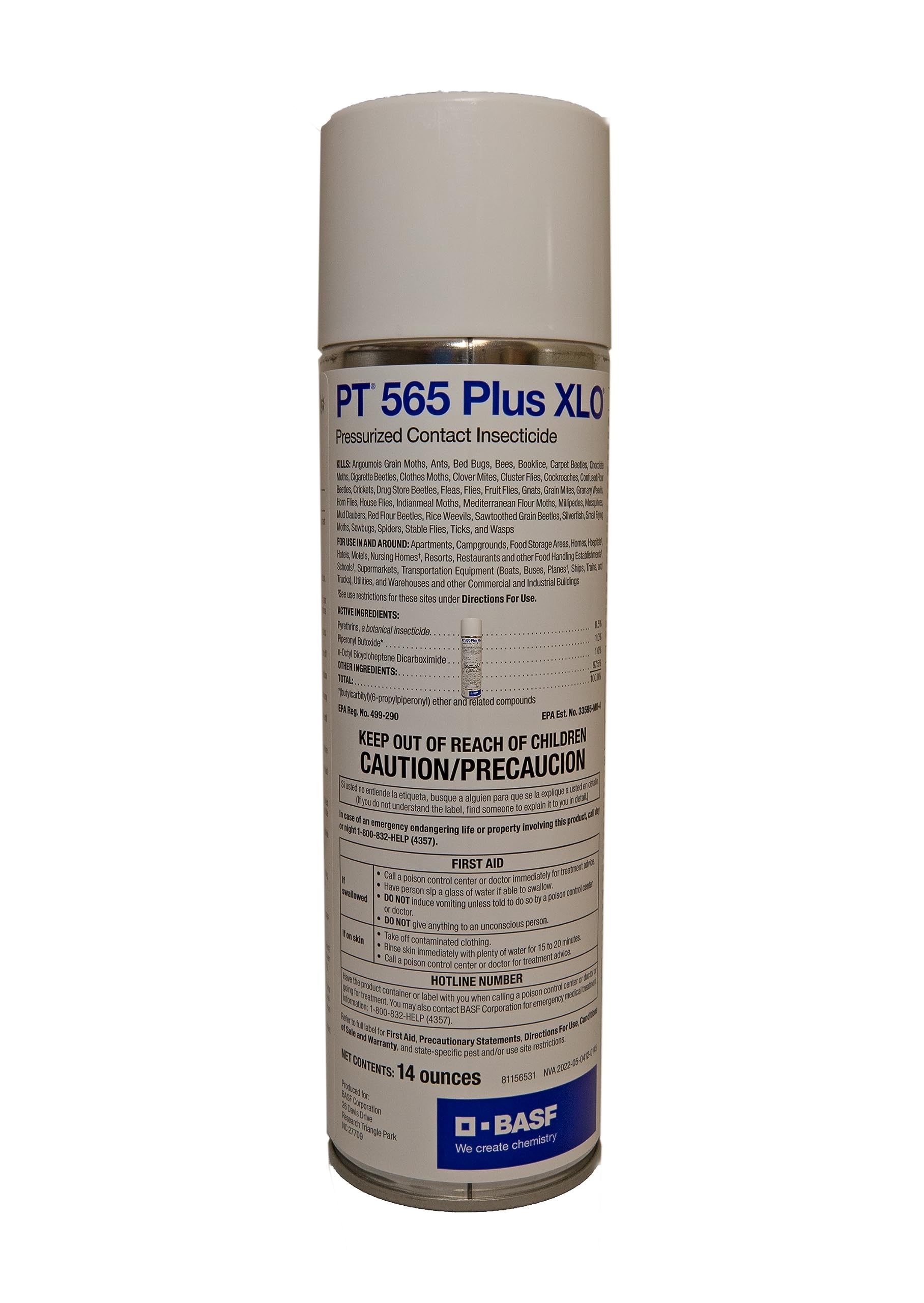 BASF PT 565 Plus XLO aerosol can for fast knockdown in kitchen and entryways