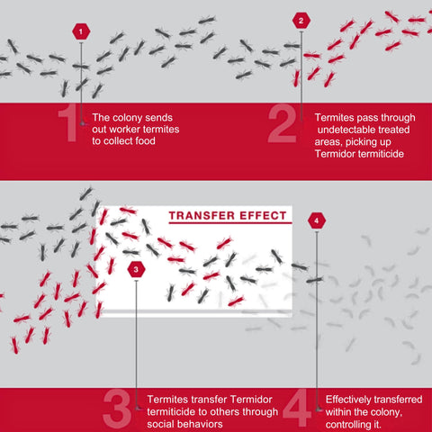 Non-repellent formula enables termite colony transfer for broader control.