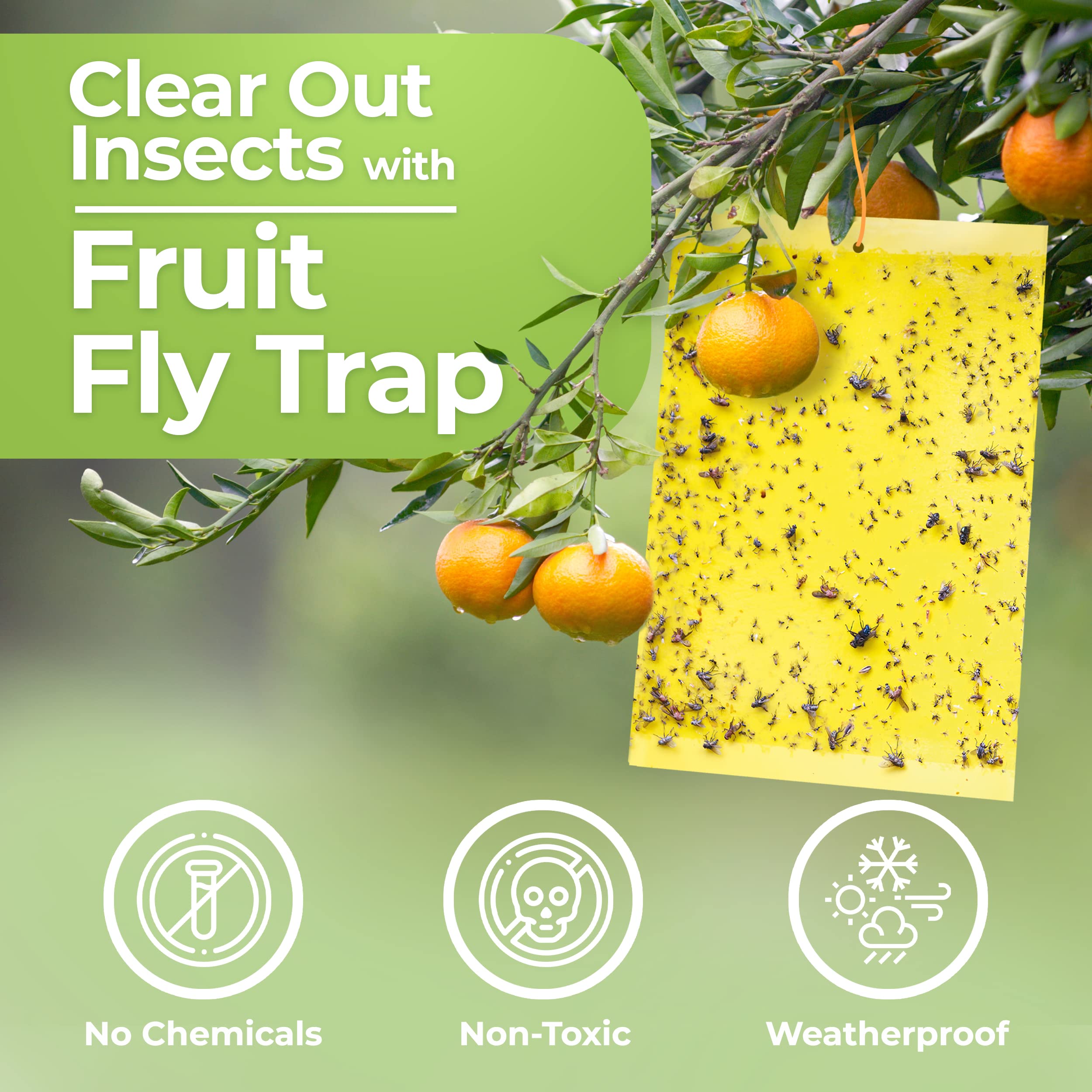 BASIC CONCEPTS yellow sticky trap attracting pests in a kitchen setting.