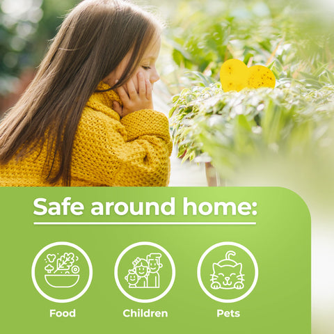 BASIC CONCEPTS offers lifetime replacement or refund for the traps.