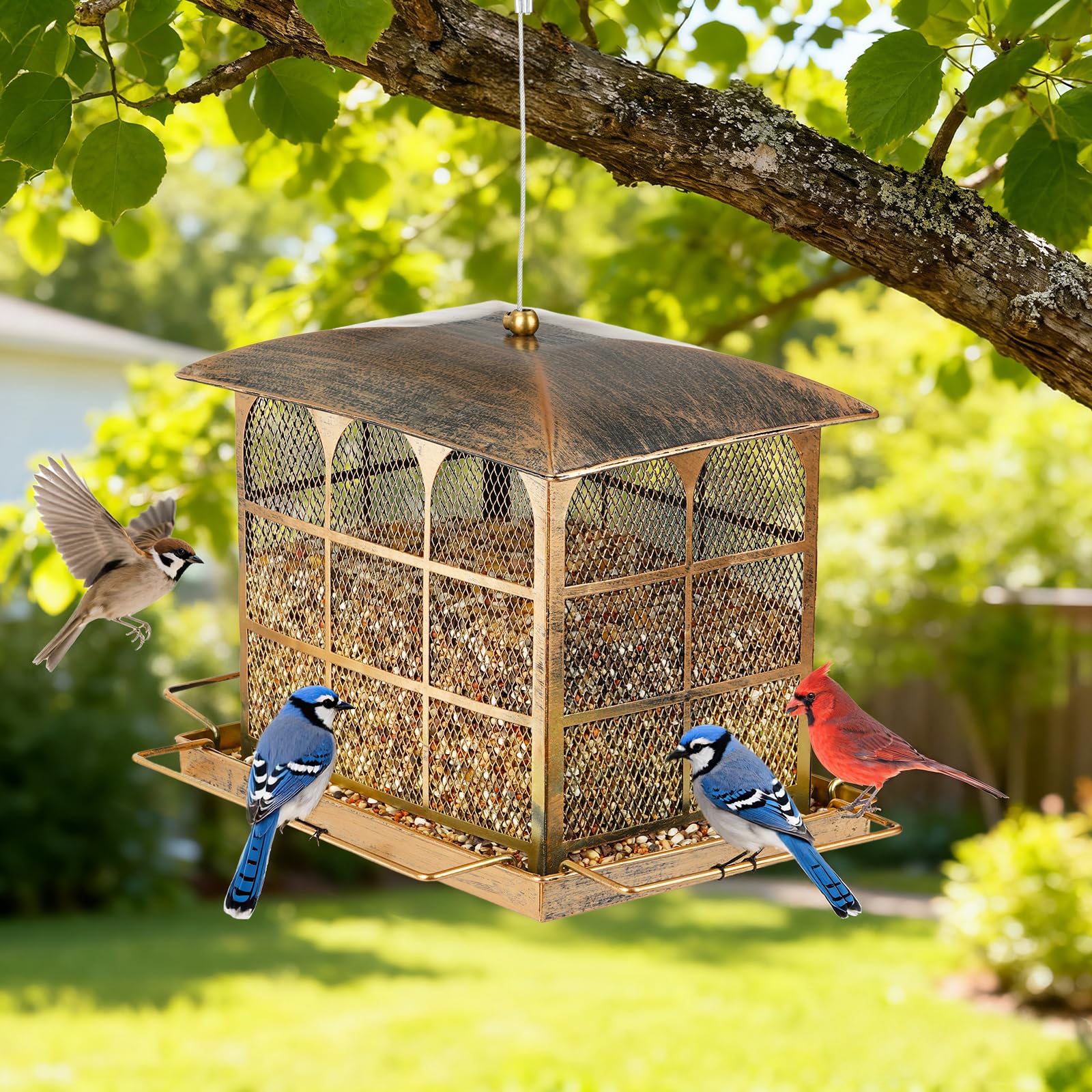 Basysnck feeder attracts cardinals, sparrows, and other garden birds.