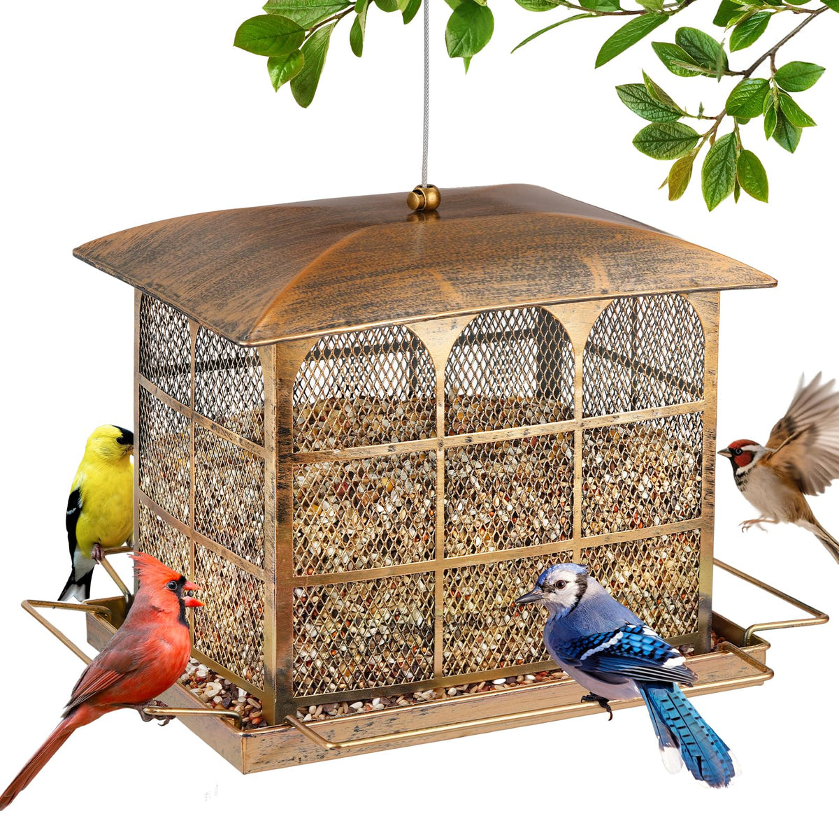 Basysnck large bird feeder fully assembled and ready to hang for easy outdoor use.