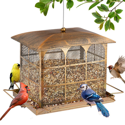 Basysnck large bird feeder fully assembled and ready to hang for easy outdoor use.