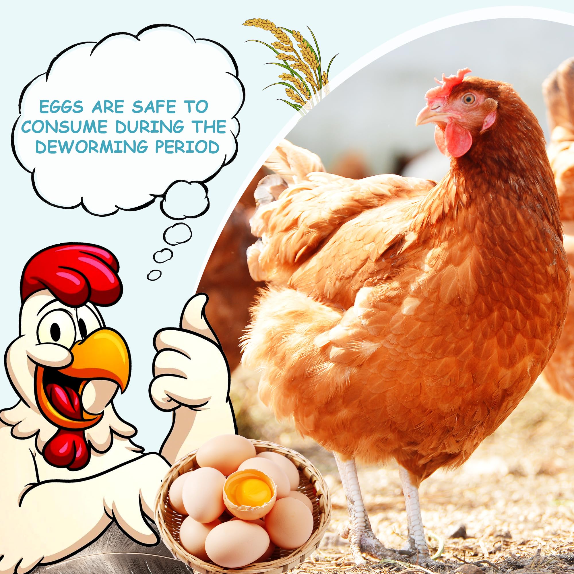 Baszy USA-made formula highlighting natural ingredients for poultry health.