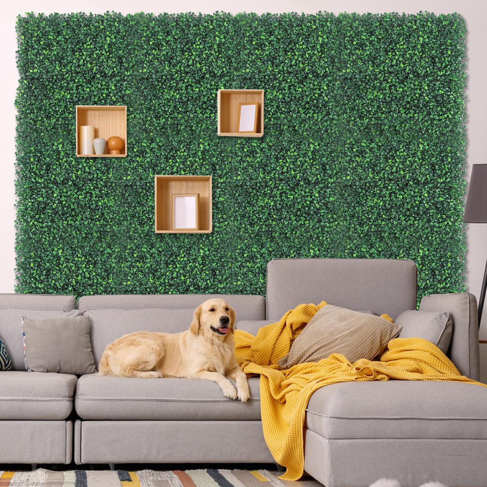 baudliglin Garden wall backdrop illustrates year-round greenery without watering.