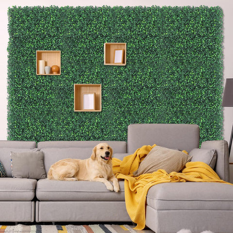 baudliglin Garden wall backdrop illustrates year-round greenery without watering.