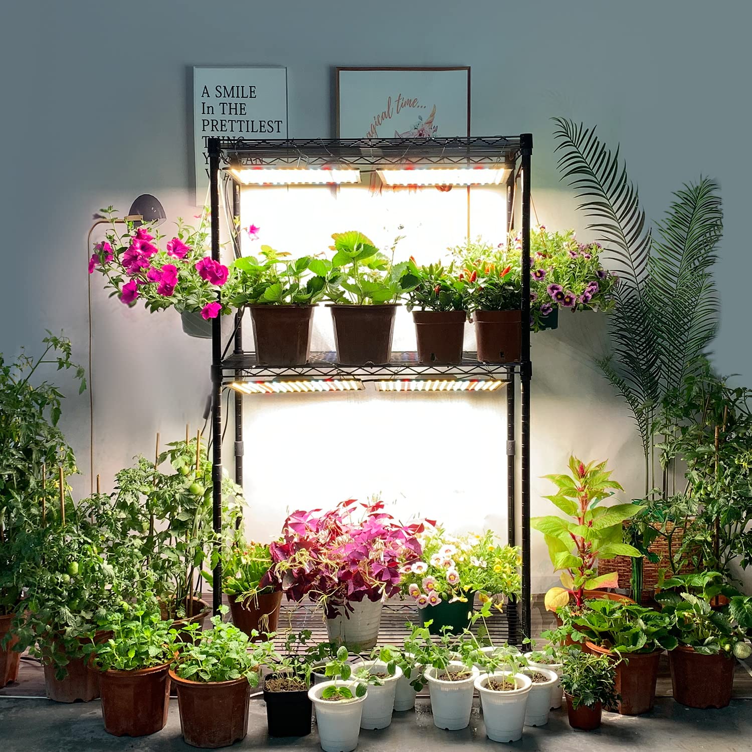 BAVIHOR LED Grow Light full-spectrum lighting for veg and bloom