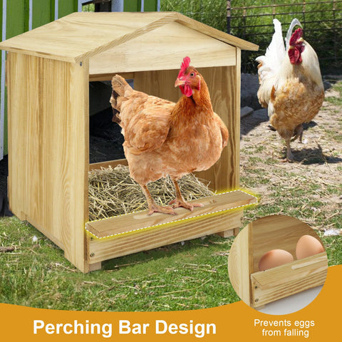 Bavlesfuire chicken nesting box with assembly tools included