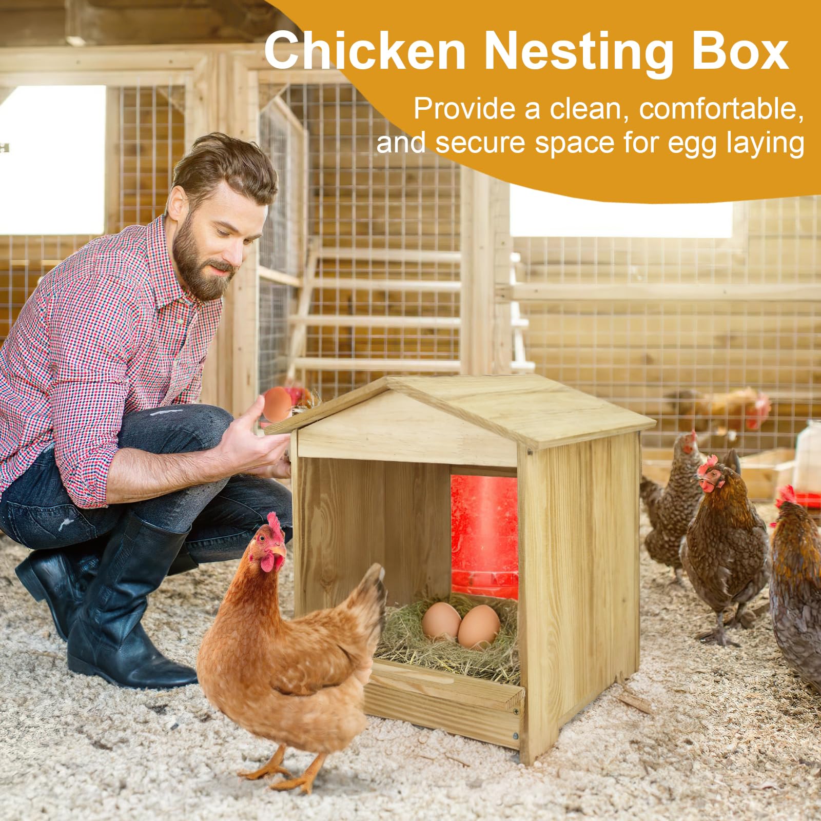 Bavlesfuire chicken nesting box front view demonstrating multi-bird nesting capacity