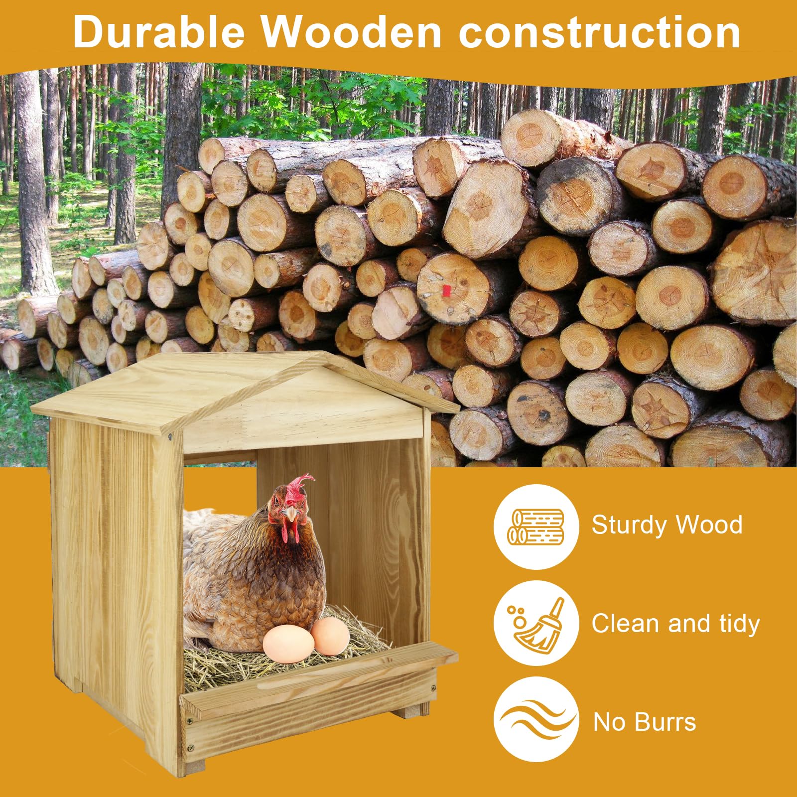 Bavlesfuire chicken nesting box in coop setup for organized laying