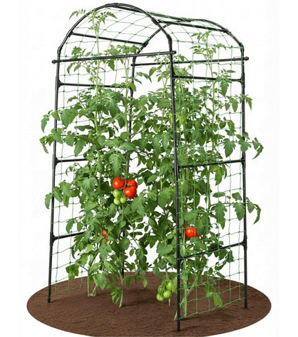 BAXAM 79 inch garden trellis arch front view showing space saving vertical growth for climbers