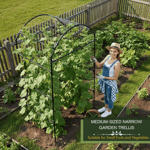 BAXAM 79 inch garden trellis arch side view supporting peas and tomatoes