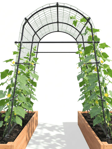 BAXAM 7ft garden arch trellis assembly demonstrates sturdy setup for climbing vegetables.