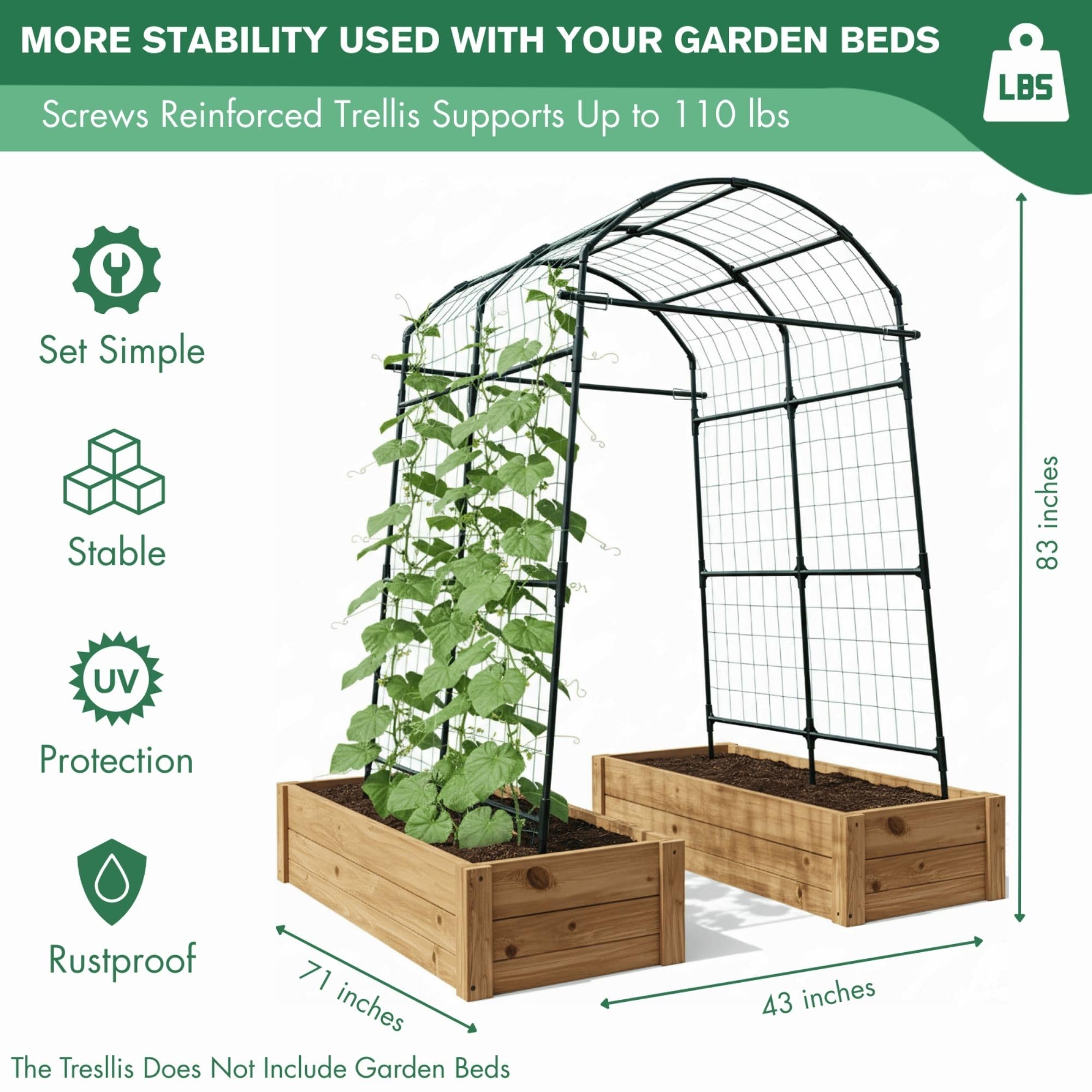 BAXAM arch features plastic ties to secure vines as they grow.