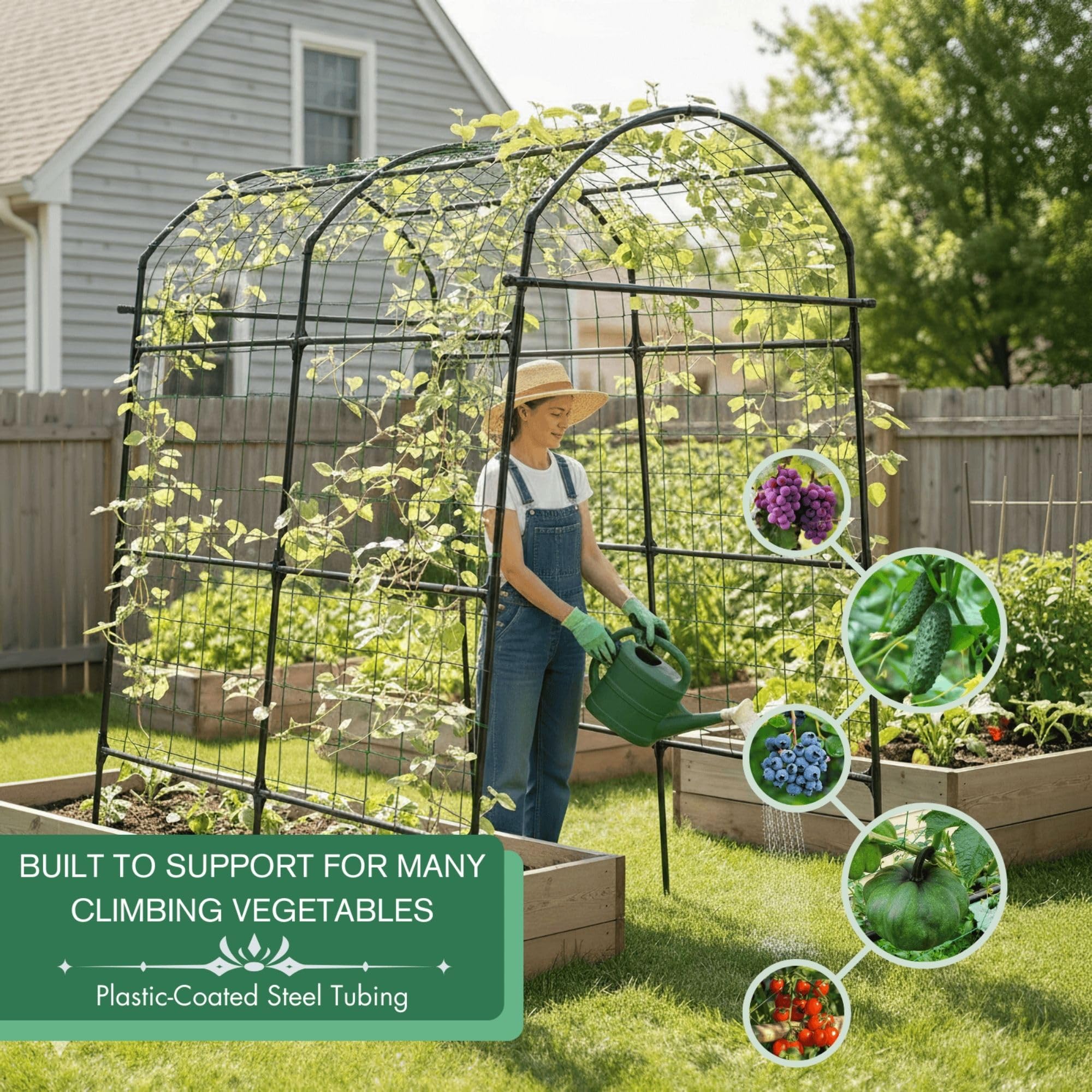 Under-arch harvest view on the BAXAM arch shows extra tall design for comfortable picking.