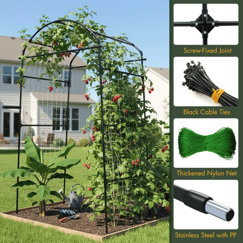 BAXAM cucumber climbing on trellis arch illustrating vertical space optimization