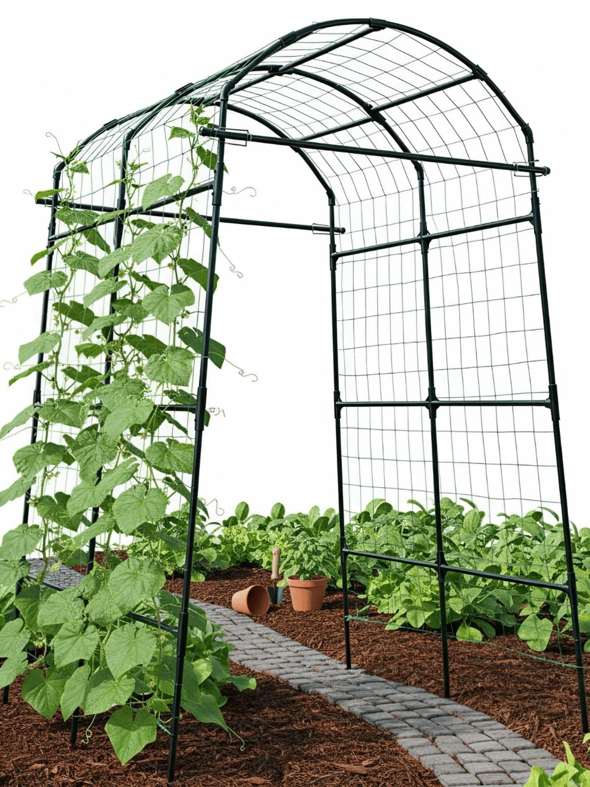 BAXAM Garden Trellis Arch 7FT ready for easy assembly and sturdy climbing support.