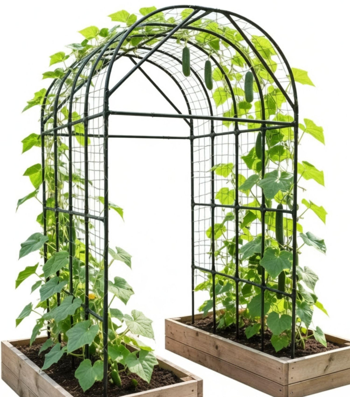 BAXAM Garden Trellis Arch 7FT – sturdy detail supports climbing vines