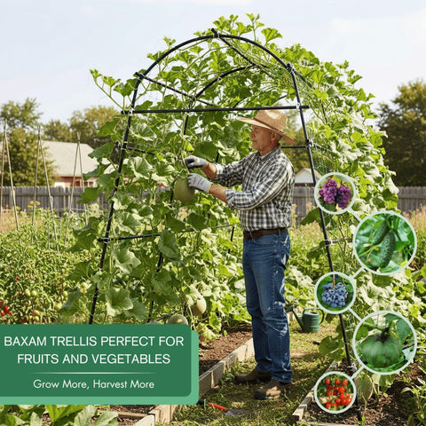 BAXAM heavy-duty steel arch-frame provides reliable support for cucumbers and squash.