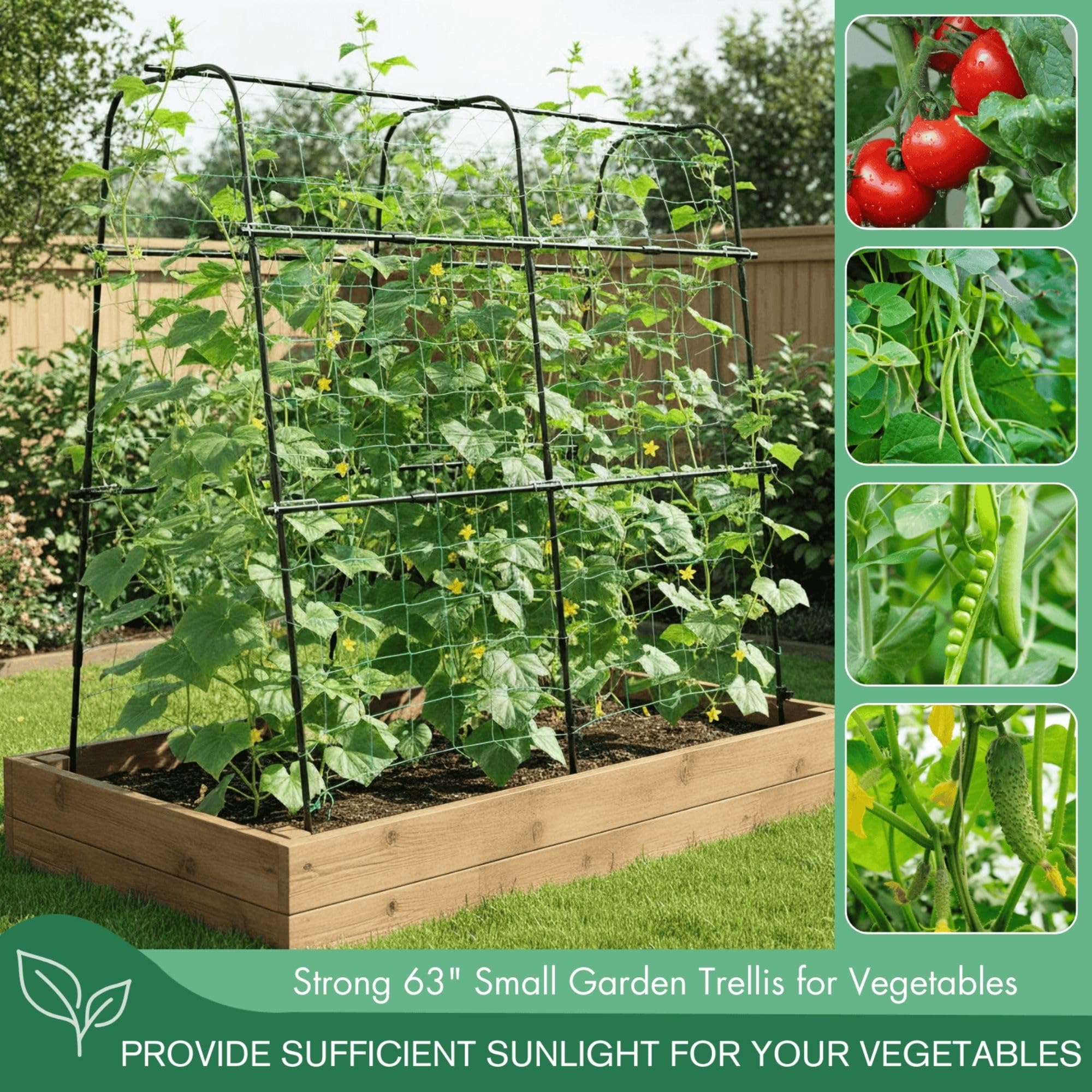 BAXAM trellis with netting supports climbing plants and keeps vegetables organized