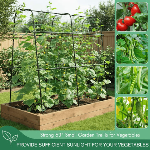 BAXAM trellis with netting supports climbing plants and keeps vegetables organized