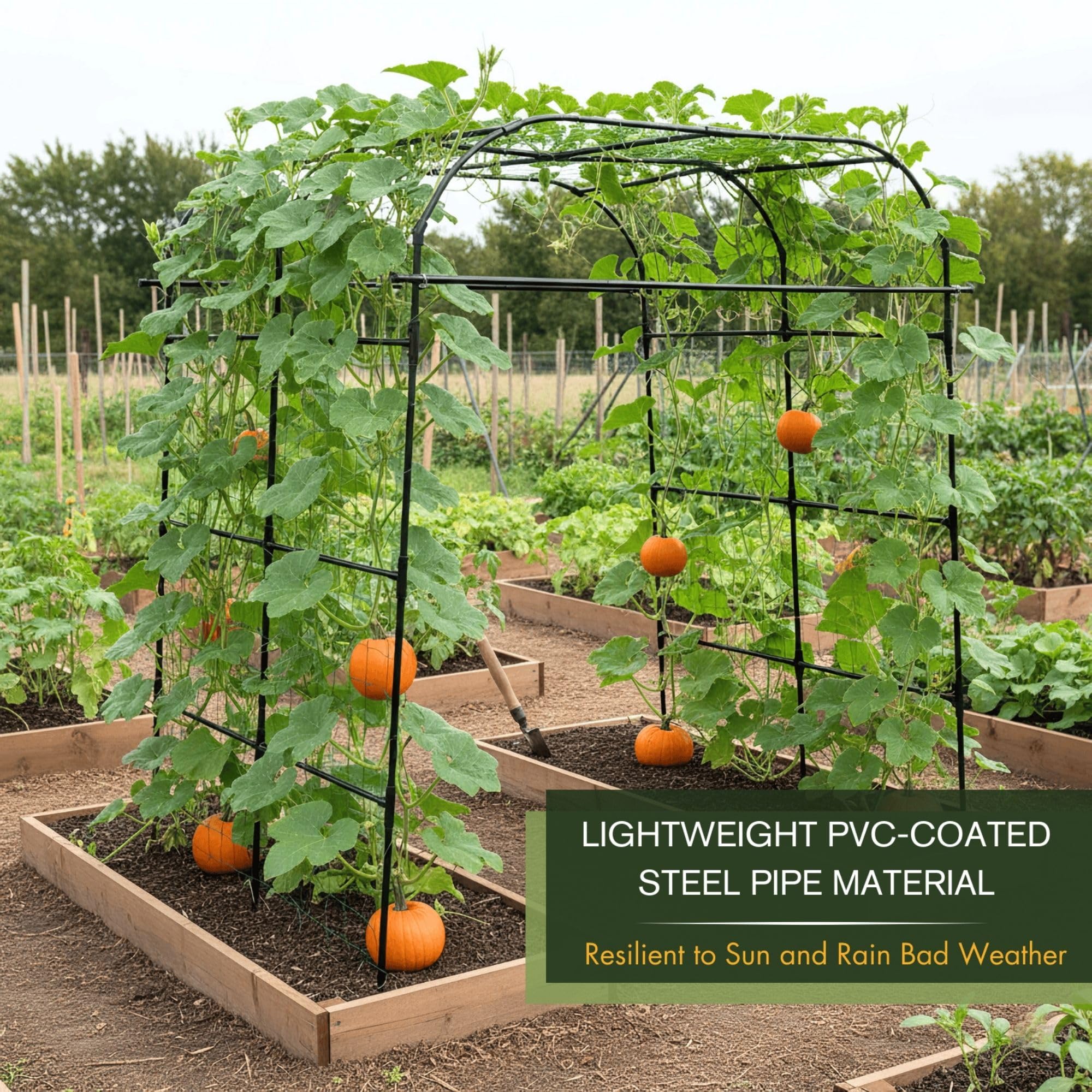 BAXAM screw-fixed connections provide stable, wind-resistant trellis structure